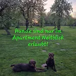 Weitblick Und Schwalbennest *